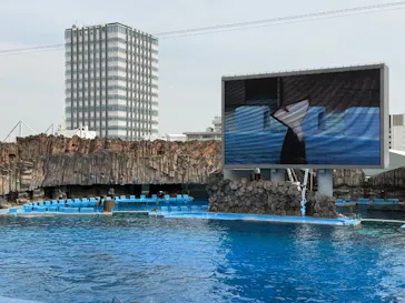 名古屋港水族館に投稿された画像（2026/3/23）