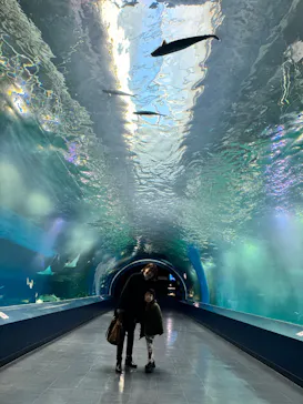 マクセル アクアパーク品川に投稿された画像（2026/3/23）