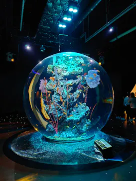 AQUARIUM × ART　atoaに投稿された画像（2026/3/23）
