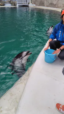 城崎マリンワールドに投稿された画像（2026/3/23）