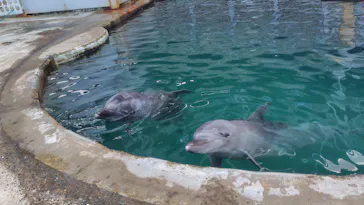 城崎マリンワールドに投稿された画像（2026/3/23）