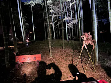 六義園に投稿された画像（2026/3/23）