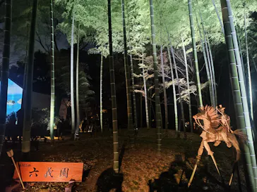 六義園に投稿された画像（2026/3/23）