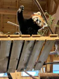 伊豆シャボテン動物公園に投稿された画像（2026/3/24）
