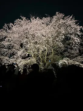 六義園に投稿された画像（2026/3/23）