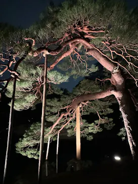 六義園に投稿された画像（2026/3/23）