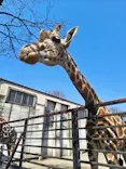 宇都宮動物園に投稿された画像（2026/3/24）