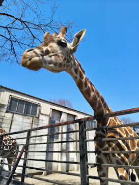 宇都宮動物園に投稿された画像（2026/3/23）
