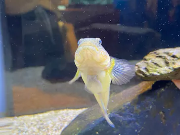 新江ノ島水族館に投稿された画像（2026/3/23）