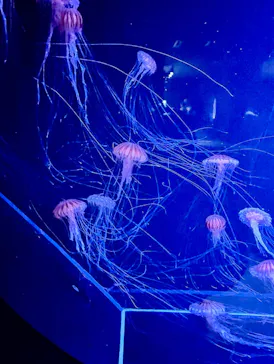 AOAO SAPPOROに投稿された画像（2026/3/23）