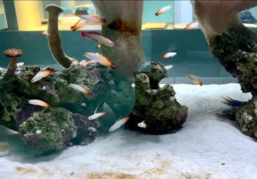 AOAO SAPPOROに投稿された画像（2026/3/23）