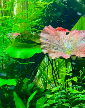 AOAO SAPPOROに投稿された画像（2026/3/23）