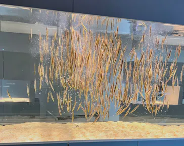 AOAO SAPPOROに投稿された画像（2026/3/23）