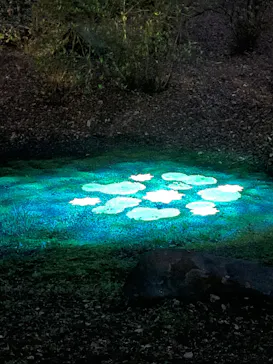 六義園に投稿された画像（2026/3/24）