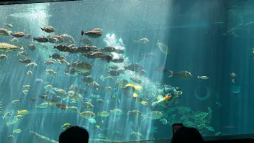 箱根園水族館に投稿された画像（2026/3/24）
