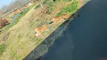 多摩動物公園に投稿された画像（2026/3/24）