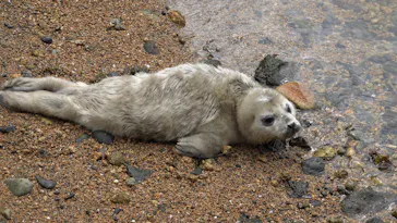 伊豆・三津シーパラダイスに投稿された画像（2026/3/24）