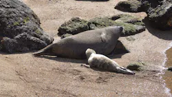 伊豆・三津シーパラダイスに投稿された画像（2026/3/24）