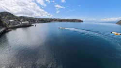 伊豆・三津シーパラダイスに投稿された画像（2026/3/24）