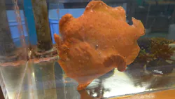 伊豆・三津シーパラダイスに投稿された画像（2026/3/24）