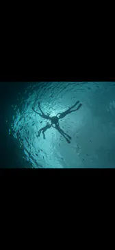 武藤潜水に投稿された画像（2026/3/24）