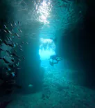 武藤潜水に投稿された画像（2026/3/24）