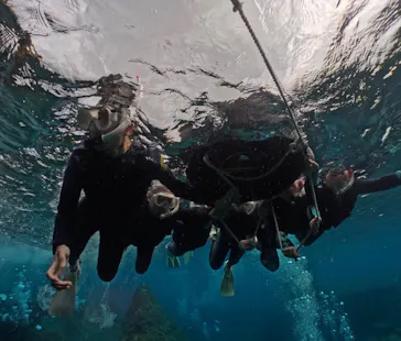 武藤潜水に投稿された画像（2026/3/24）