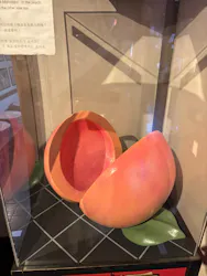 桃太郎のからくり博物館に投稿された画像（2026/3/24）