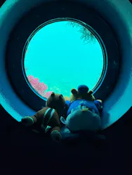 串本海中公園水族館に投稿された画像（2026/3/24）