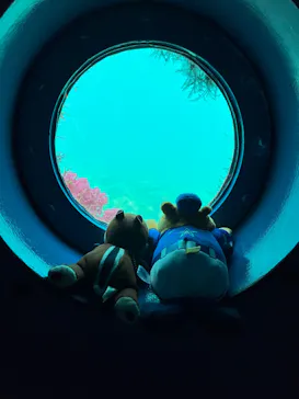 串本海中公園水族館に投稿された画像（2026/3/24）