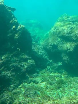 串本海中公園水族館に投稿された画像（2026/3/24）
