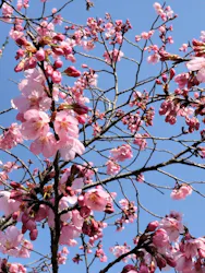 多摩動物公園に投稿された画像（2026/3/24）