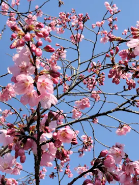 多摩動物公園に投稿された画像（2026/3/24）