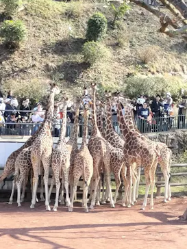 多摩動物公園に投稿された画像（2026/3/24）