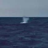 アイランドメッセージに投稿された画像（2026/3/24）