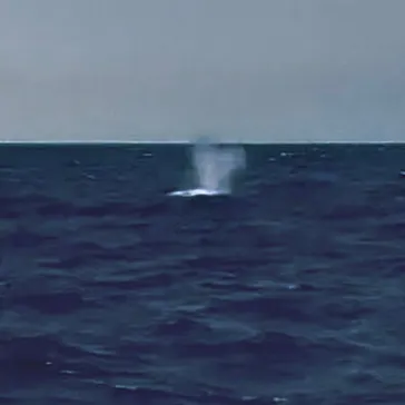 アイランドメッセージに投稿された画像（2026/3/24）