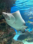 サンシャイン水族館に投稿された画像（2026/3/24）