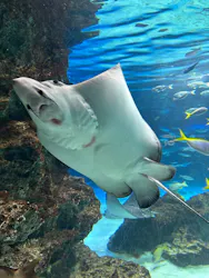 サンシャイン水族館に投稿された画像（2026/3/24）