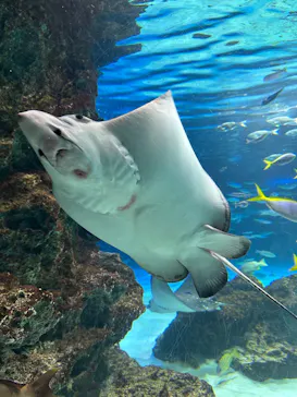 サンシャイン水族館に投稿された画像（2026/3/24）
