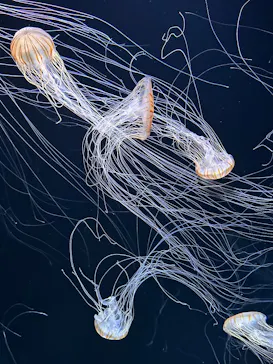 サンシャイン水族館に投稿された画像（2026/3/24）