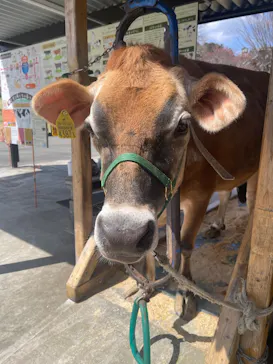 まかいの牧場に投稿された画像（2026/3/24）