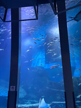 横浜・八景島シーパラダイスに投稿された画像（2026/3/24）