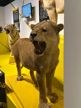 特別展「超危険生物展　科学で挑む生き物の本気」に投稿された画像（2026/3/24）