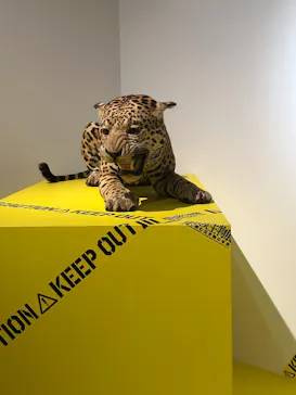 特別展「超危険生物展　科学で挑む生き物の本気」に投稿された画像（2026/3/24）