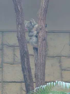 名古屋市東山動植物園に投稿された画像（2026/3/24）