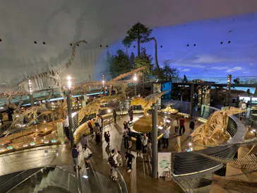 福井県立恐竜博物館に投稿された画像（2026/3/24）