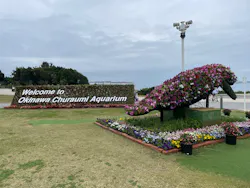 沖縄美ら海水族館に投稿された画像（2026/3/24）