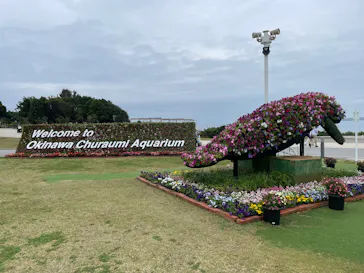 沖縄美ら海水族館に投稿された画像（2026/3/24）