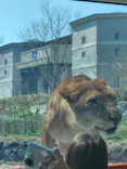 多摩動物公園に投稿された画像（2026/3/24）