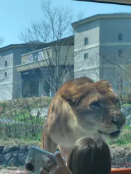 多摩動物公園に投稿された画像（2026/3/24）